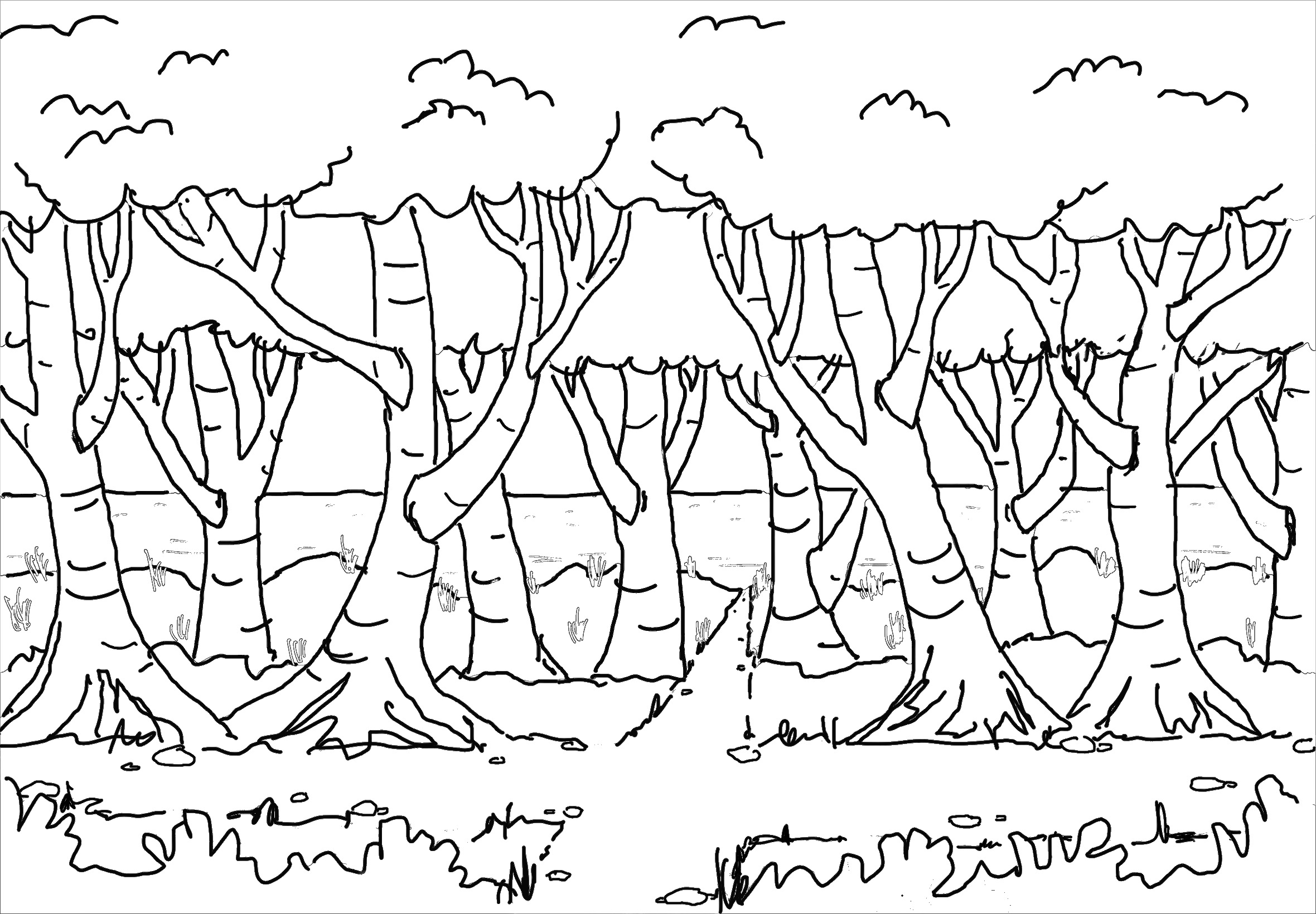 11ausmalbildwaldrallye